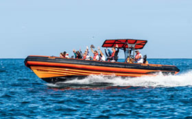 Four Adventures Boat Tours